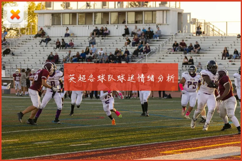 英超各球队球迷情绪分析