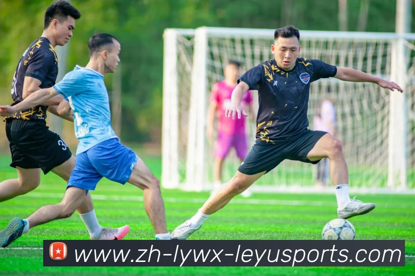 乐鱼体育发展历程